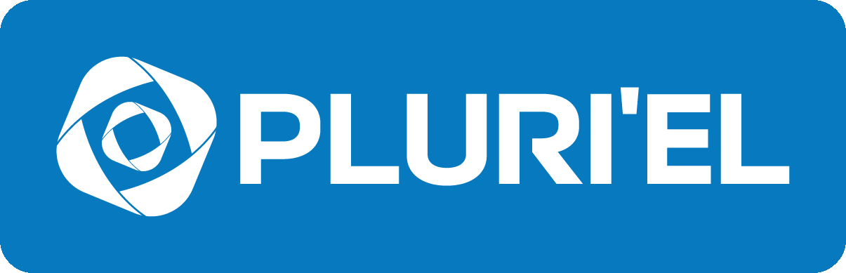 Logo Pluriel
